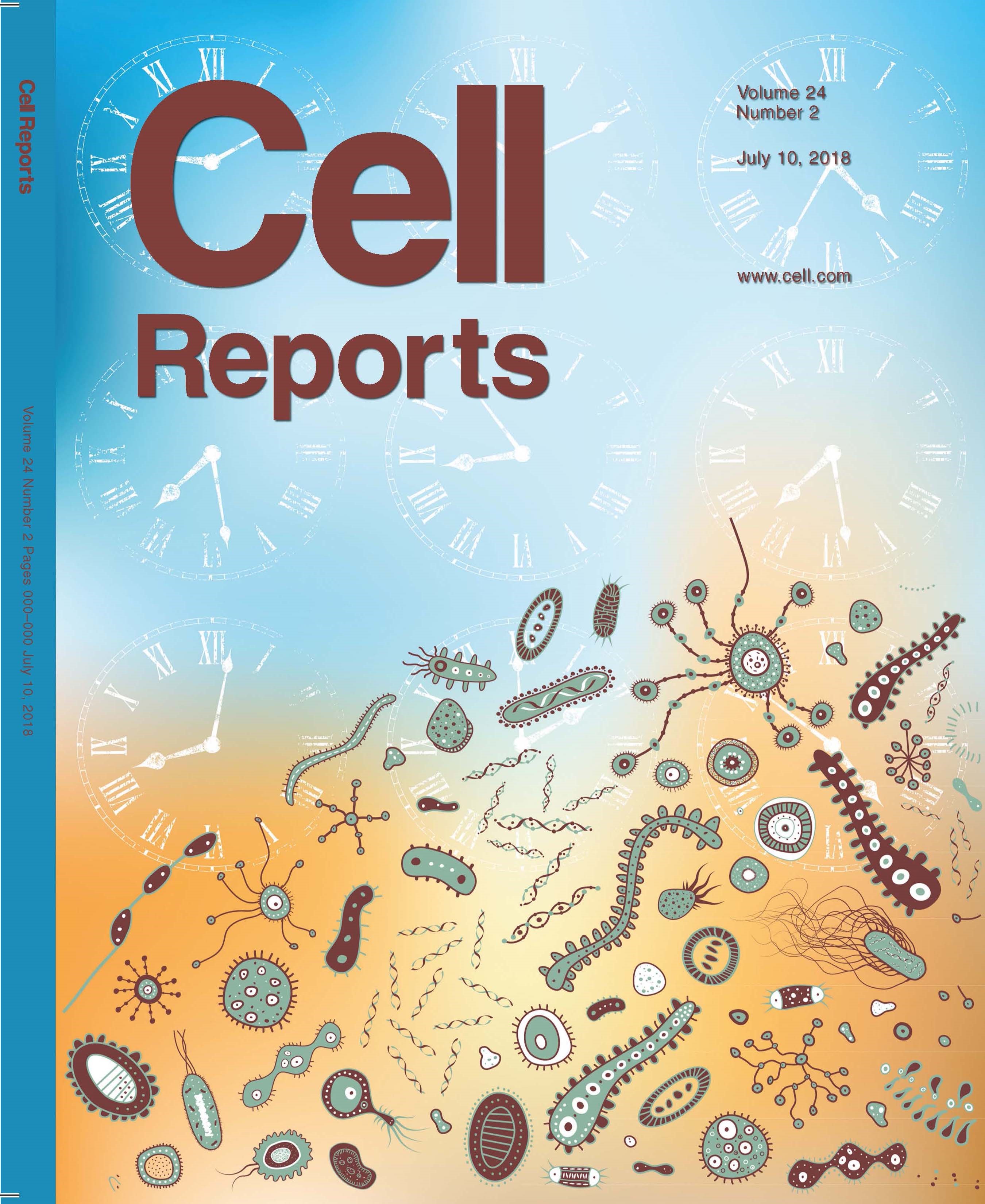 fotografía principal Ondular Paper by Department Researchers Selected for Cover of Cell Reports |  Department of Surgery | University of Pittsburgh